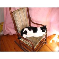 Rocking chair Bentwood with Wooden Pegs #994158