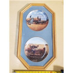 TWO FRAMED PLATES (EMMET KAYE)