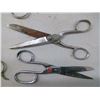 Image 4 : ASSORTMENT OF SCISSORS