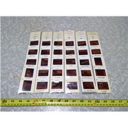 SAMPLE NEGATIVE 35MM STILLS