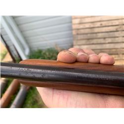 Model 39 Cooey .22 - single shot