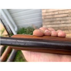 Model 39 Cooey .22 - single shot