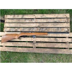 Mossberg .22 LR w/clip - semi mark 3