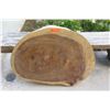 Image 1 : Round Solid Wood Slab w/ Polished Bark 38" x 27"