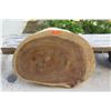 Image 2 : Round Solid Wood Slab w/ Polished Bark 38" x 27"
