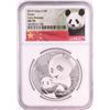 Image 1 : 2019 China 10 Yuan Panda Silver Coin NGC MS70 Early Releases