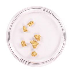 Lot of Australian Gold Nuggets 1.613 grams Total Weight