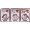 Image 1 : Lot of 1977-1979 Mexico 100 Pesos Silver Coins NGC MS66