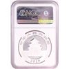 Image 2 : 2019 China 10 Yuan Panda Silver Coin NGC MS70 Early Releases