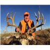 Image 3 : Colorado Antelope Hunt (or $3000 credit towards either a Mule deer or an Elk hunt) – 1 hunter