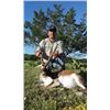 Image 2 : Texas Trophy Exotic Hunt – 1 hunter (Axis or Blackbuck Trophy)