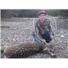 Image 3 : Texas Trophy Exotic Hunt – 1 hunter (Axis or Blackbuck Trophy)