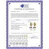 Image 2 : Genuine 10.30 ctw Amethyst & Pearl Earrings 14KT Yellow Gold - REF-56M7T