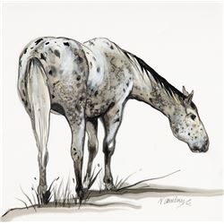 Nancy Dunlop Cawdrey - Riverside Appaloosa