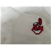 Image 2 : CHICAGO WHITESOX AND CLEVELAND INDIANS NEW BASEBALL JERSEYS