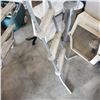 Image 2 : POOL LADDER