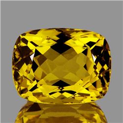 Natural Golden Yellow Beryl 9x7 MM - FL