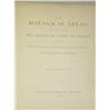 Image 2 : MAlpine, D.. Cryptogams - The Botanica