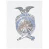 Image 1 : 2 1/2 EARLY JEWELERS CHIEFS BADGE ENG