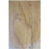 Image 6 : Large Milo Wood Bowl, Artist James W. Lowell Jr. 1/09, Approx. 10.5" Dia, 14" Tall