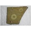 Image 2 : Slate Roof Shingle from Kawaihao Church 1927 to 1992 - Artist Carved, Embellished Honu 9.75 x 7.5