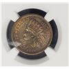 Image 2 : 1860 1C Indian Head Penny Cent NGC Uncirculated