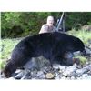 Image 1 : 2 Person-Alaska Coastal Black Bear hunt Fully Guided