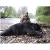 Image 2 : 2 Person-Alaska Coastal Black Bear hunt Fully Guided
