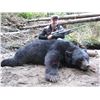 Image 3 : 2 Person-Alaska Coastal Black Bear hunt Fully Guided