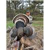Image 1 : 2 person Colorado Semi Guided Turkey/Shed Hunting Package