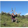Image 2 : 2 person Colorado Semi Guided Turkey/Shed Hunting Package