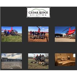 Two Hour Helicopter Hog Hunt for 1