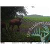 Image 4 : 4 Day-Youth Kansas Whitetail with 180 Outdoors September 2021