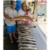 Image 1 : 2 Person -Saltwater speck -redfish trip —Galveston Bay Charters—David Dillman 1/2 day