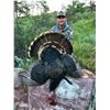 Image 2 : 2 Hunters 3 Day Spring Colorado Turkey Hunt