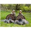 Image 1 : 3-day Ohio Turkey Hunt for 1 Person