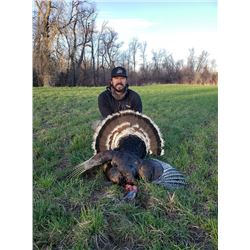 3-Day Montana Merriams Turkey hunt for 1