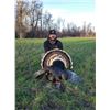 Image 1 : 3-Day Montana Merriams Turkey hunt for 1