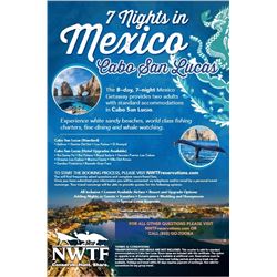 Cabo 8 Days 7 Nights