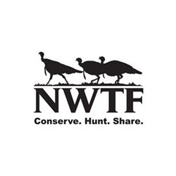 Henry Silver Boy Grand Slam IIRio 22LR 18