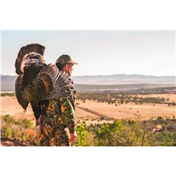 Goulds Turkey Hunt for 1 with El Halcon one of Mexico's premier hunting destinations