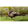 Image 1 : Osceola Turkey/Hog Combo With GOD's Country Outfitters