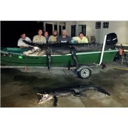 Double Gator/Hog Combo with God's Country Outfitters