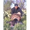 Image 2 : 2 Person Rio Grande Turkey  hunt for 4 Days and 3 Nights In Texas