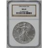 Image 1 : 1996 AMERICAN SILVER EAGLE