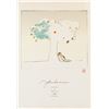 Image 1 : John Lenon British Lithograph A Family Tree