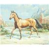 Image 1 : Oil on Canvas Unsigned Horse Framed