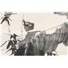Image 3 : Liu Biao 1962- Chinese Ink on Paper Scroll