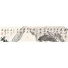 Image 6 : Liu Biao 1962- Chinese Ink on Paper Scroll