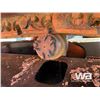 Image 19 : 2012 CATERPILLAR 316E HYDRAULIC EXCAVATOR